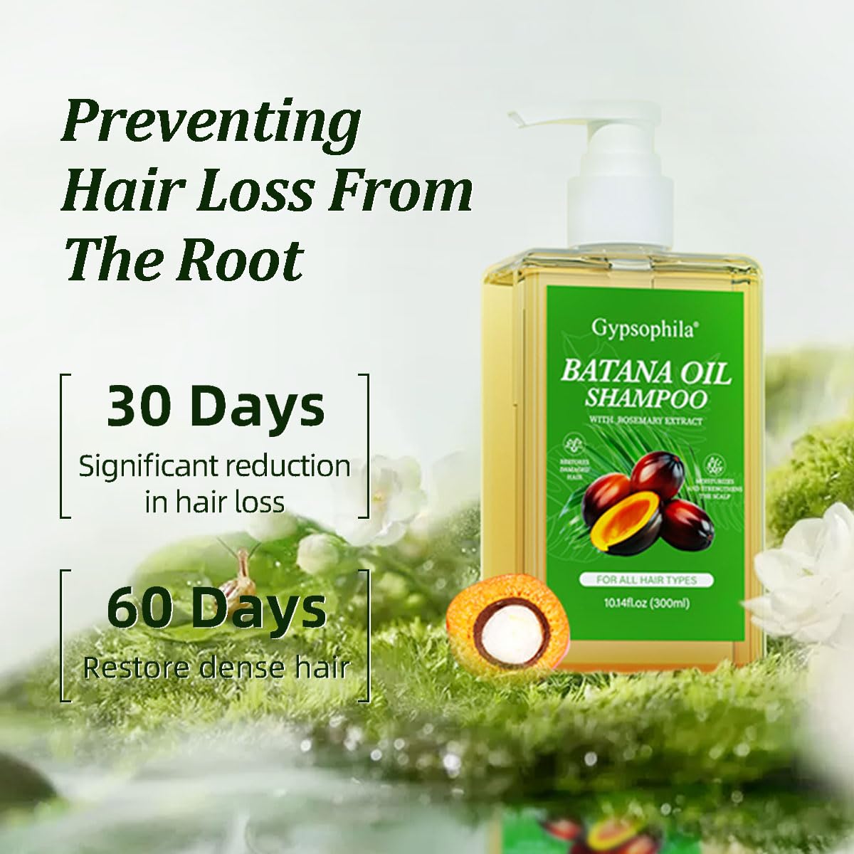 Gypsophila® BATANA OIL SHAMPOO & BATANA OIL FOR HAIR GROWTH